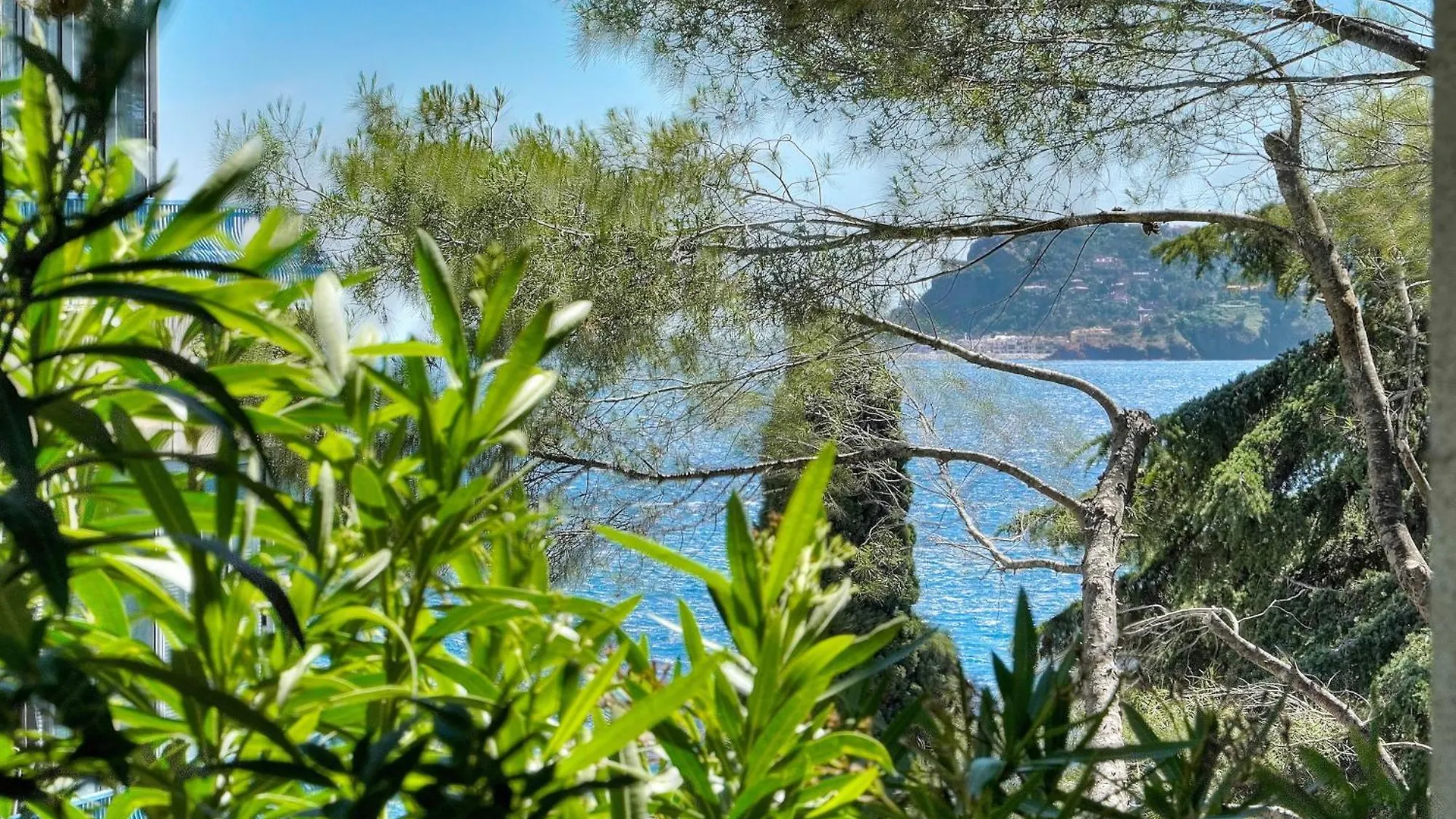 Le Greg - Terrasse - Parking - Vca Apartment Cannes